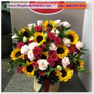 Hoa Tươi Tặng Khai Trương - OK17